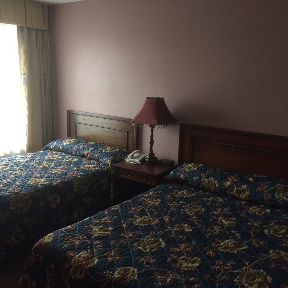 White Knight Motel برامبتون المظهر الخارجي الصورة