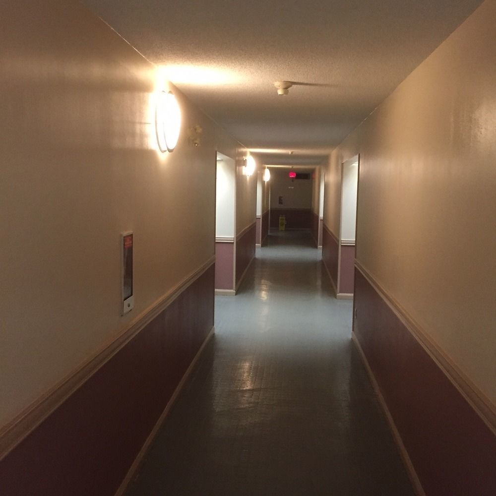 White Knight Motel برامبتون المظهر الخارجي الصورة